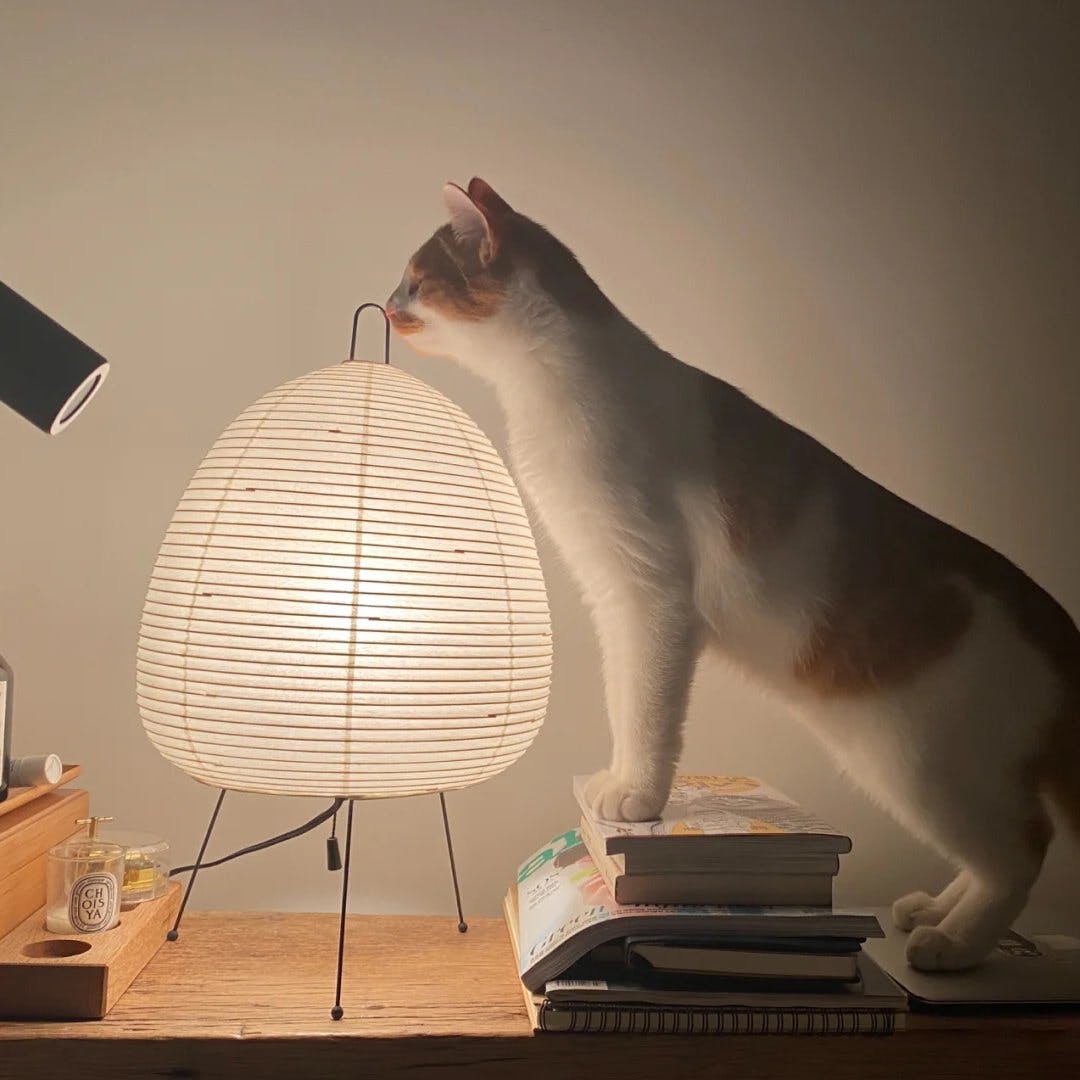 Mulberry Paper Table Lamp