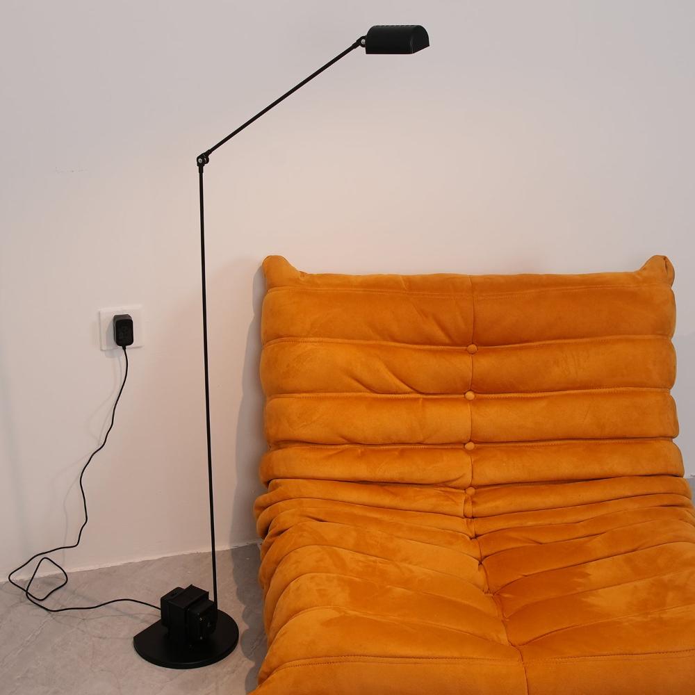Dimmable Swivel Task Floor Lamp