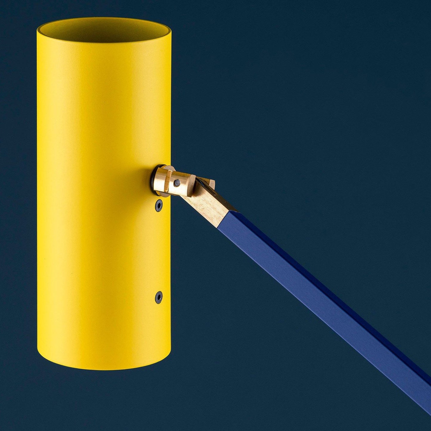 Primary Colour Adjustable Task Floor Lamp