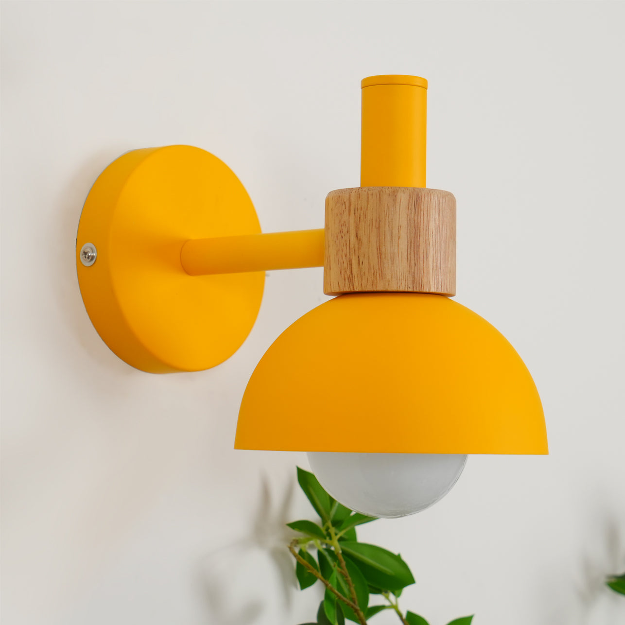 Colour Pop Wood Wall Sconce