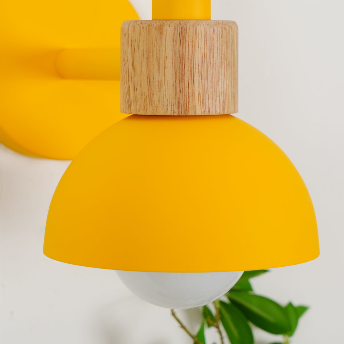 Colour Pop Wood Wall Sconce