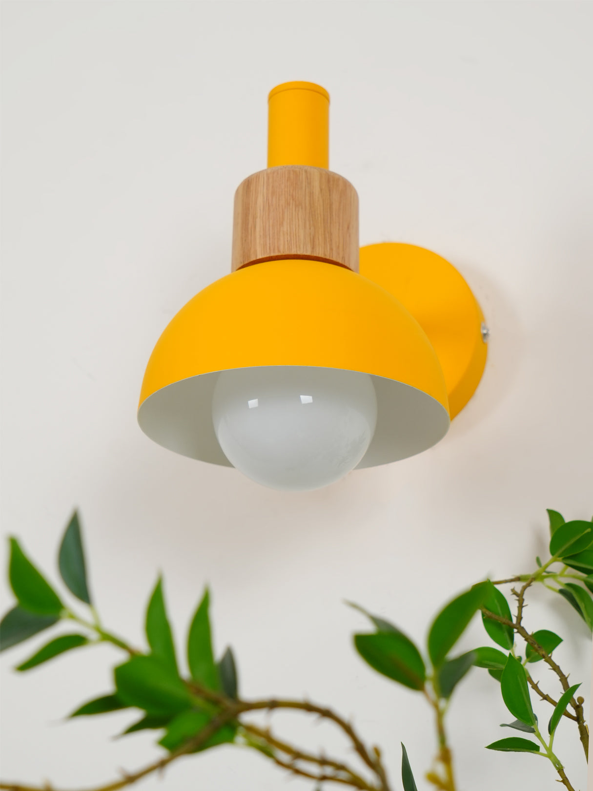 Colour Pop Wood Wall Sconce