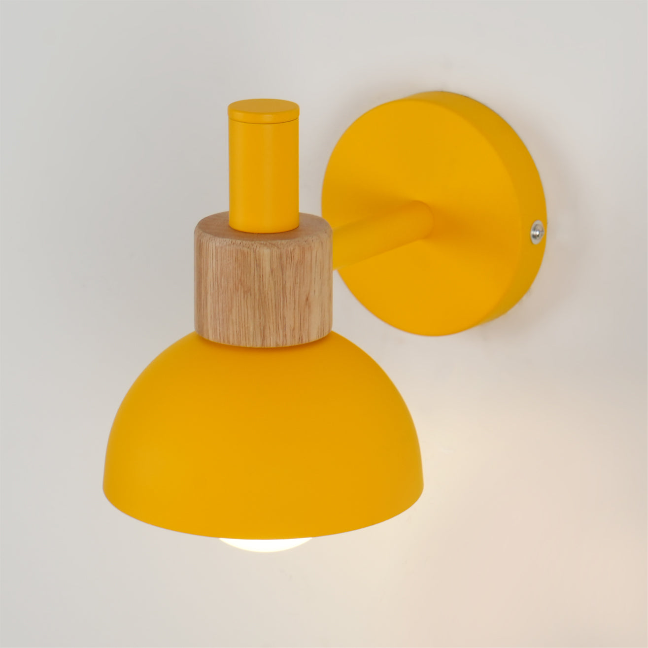 Colour Pop Wood Wall Sconce