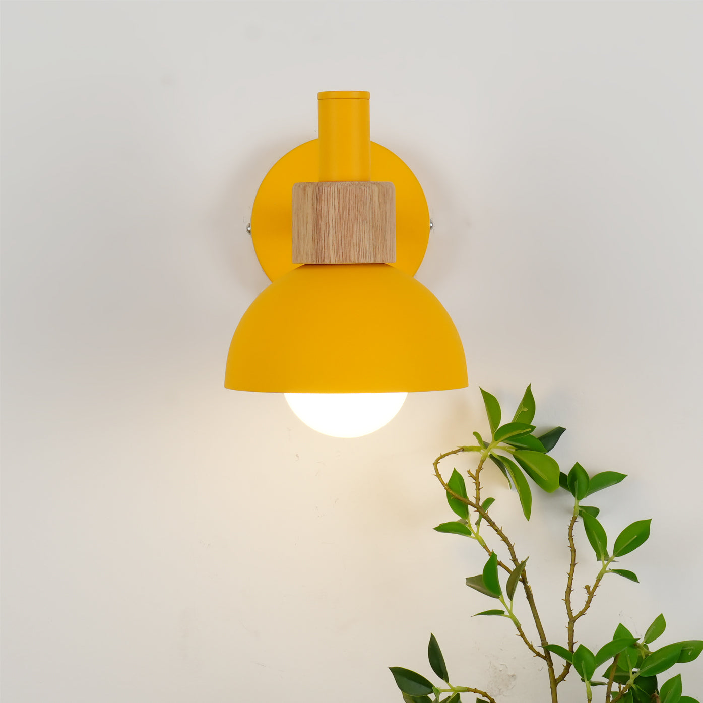 Colour Pop Wood Wall Sconce