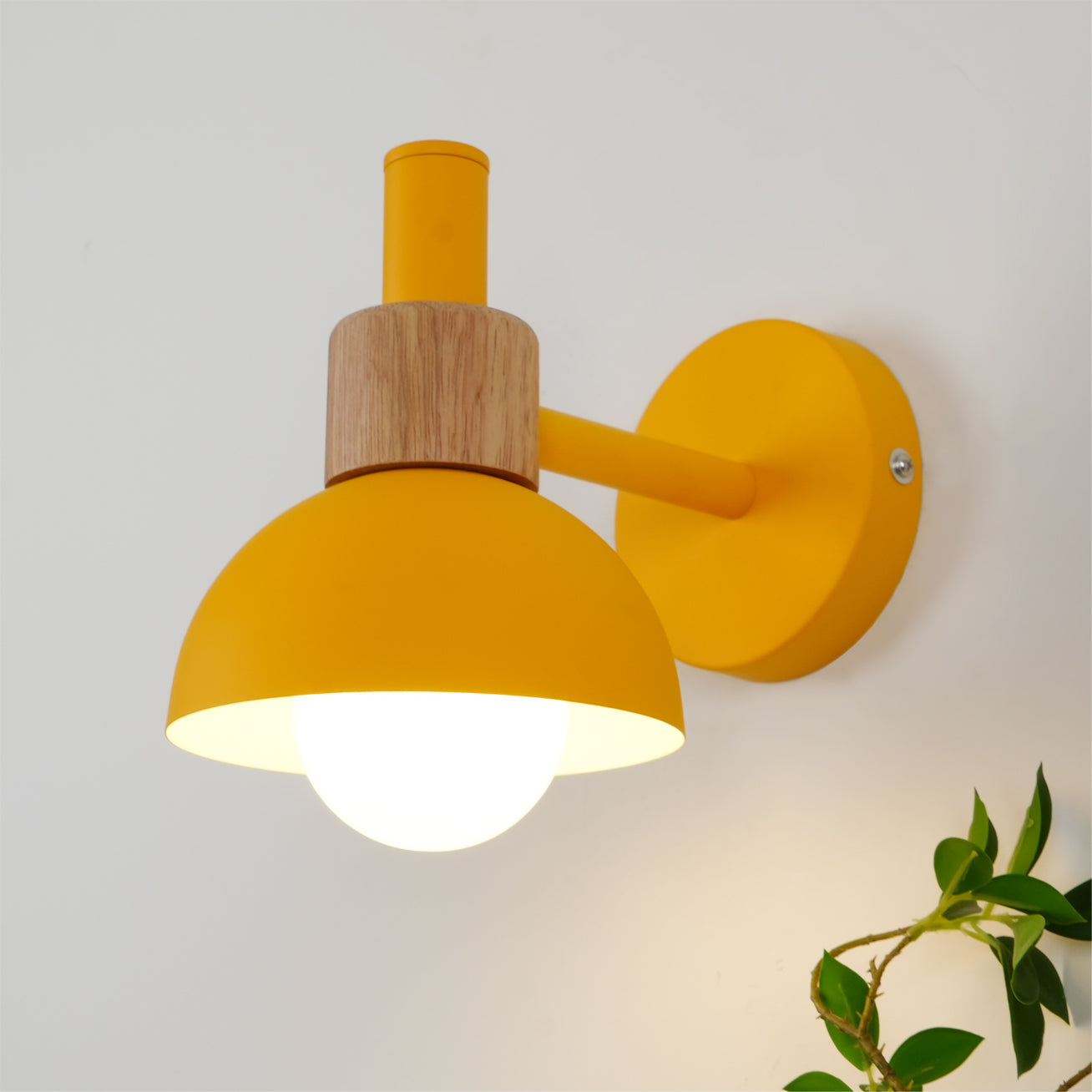 Colour Pop Wood Wall Sconce