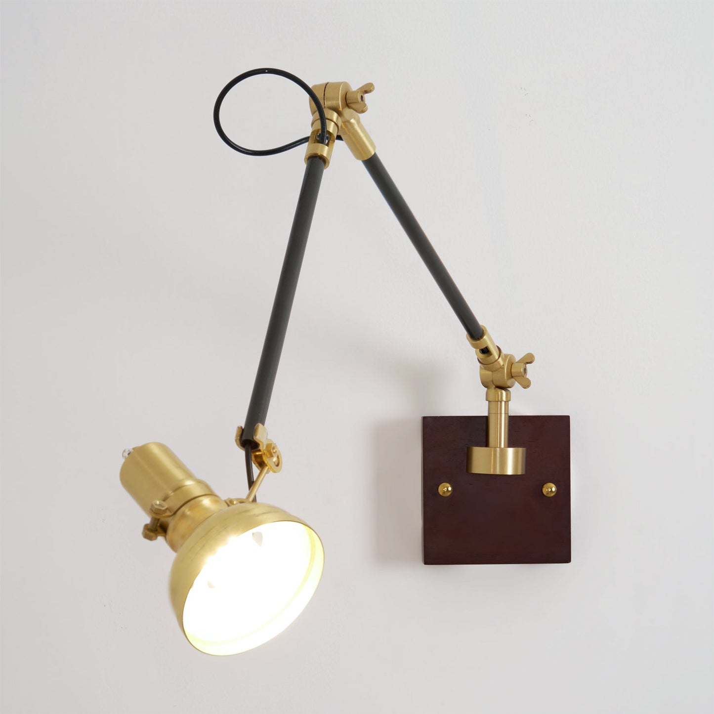 Walnut and Brass Swing Arm Sconce