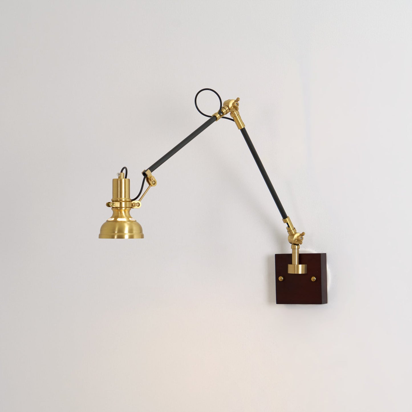 Walnut and Brass Swing Arm Sconce