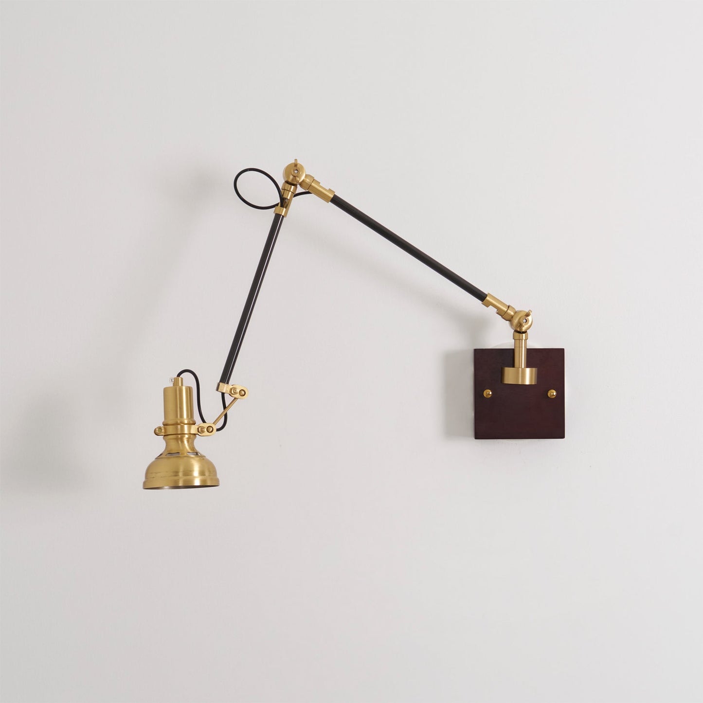 Walnut and Brass Swing Arm Sconce