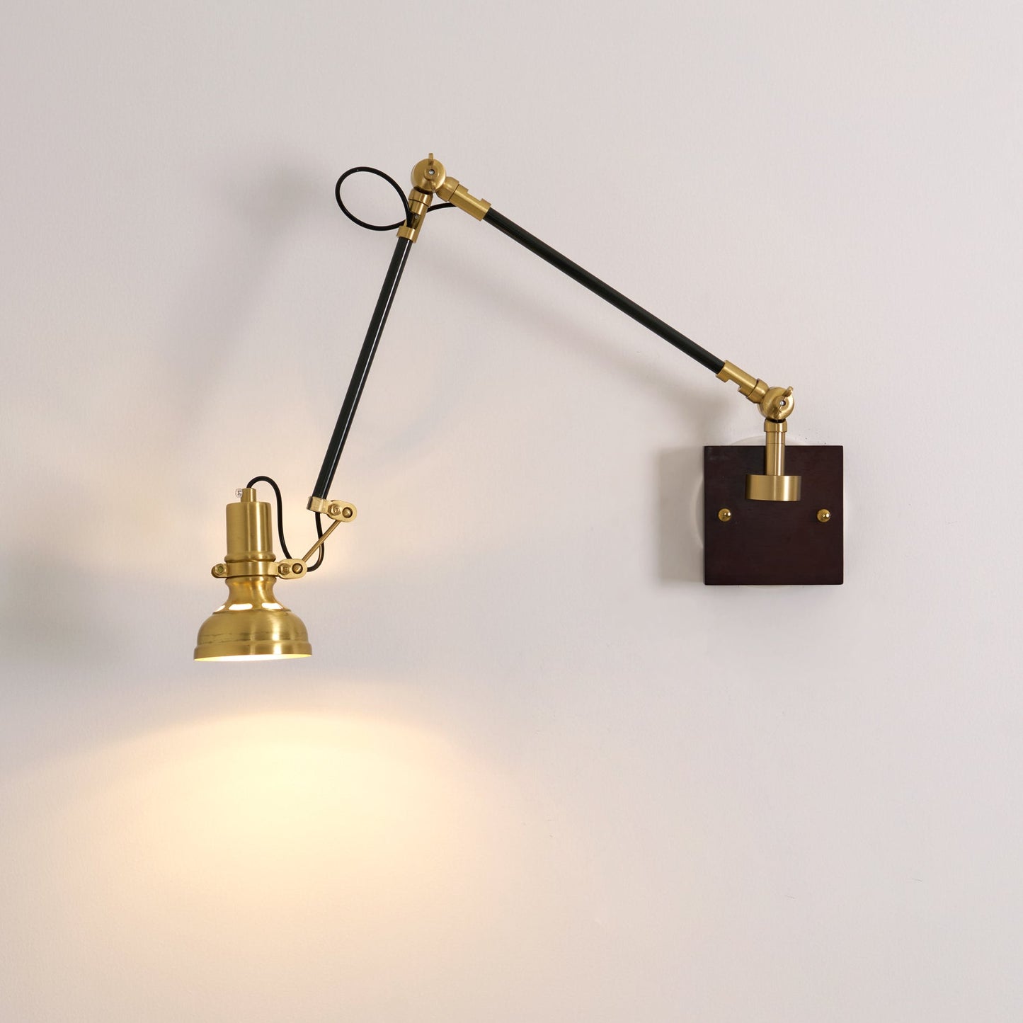 Walnut and Brass Swing Arm Sconce