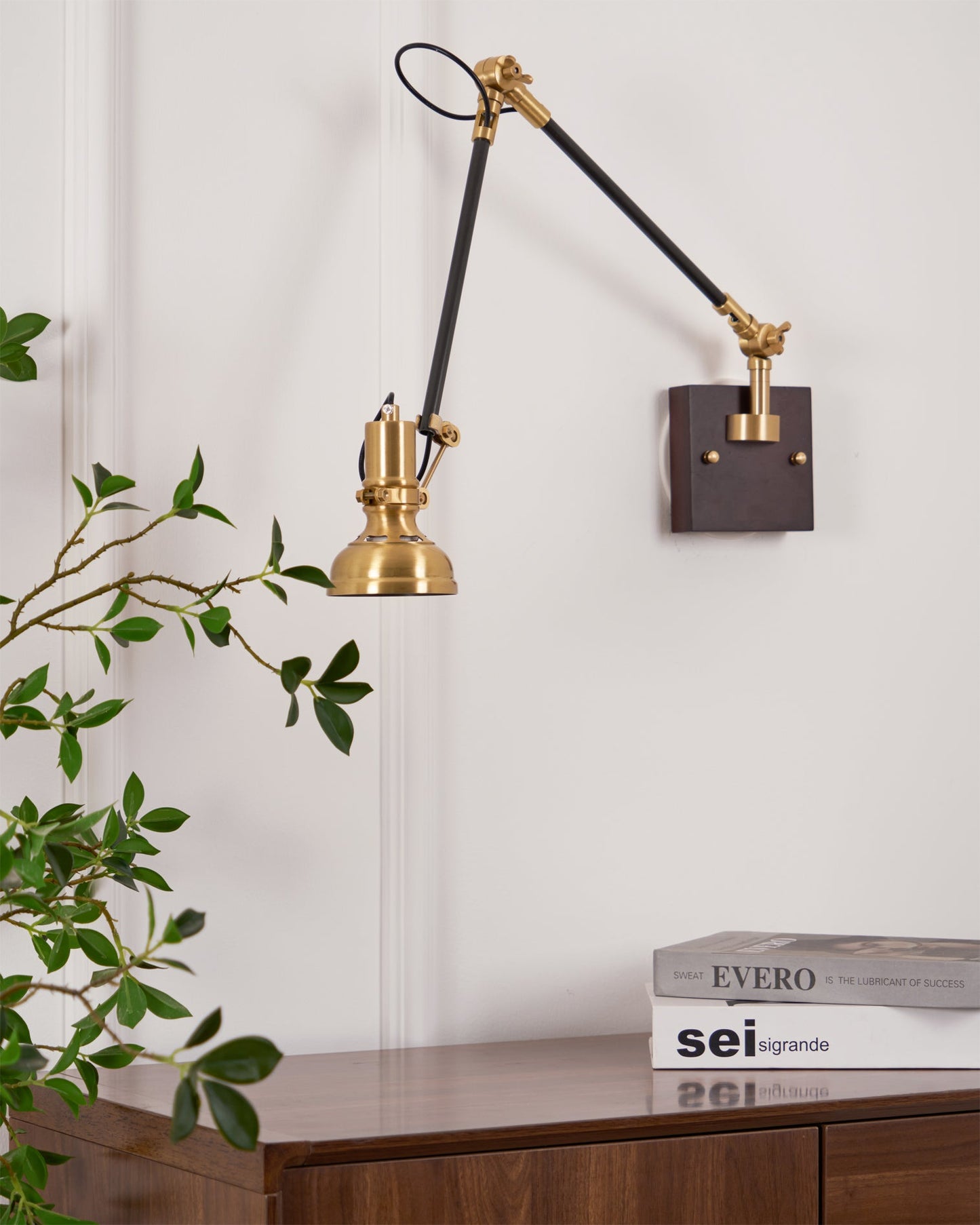 Walnut and Brass Swing Arm Sconce
