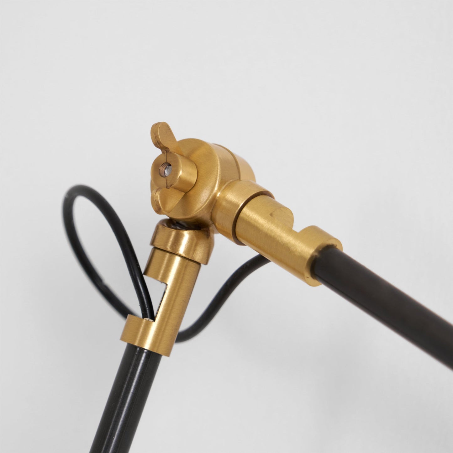 Walnut and Brass Swing Arm Sconce
