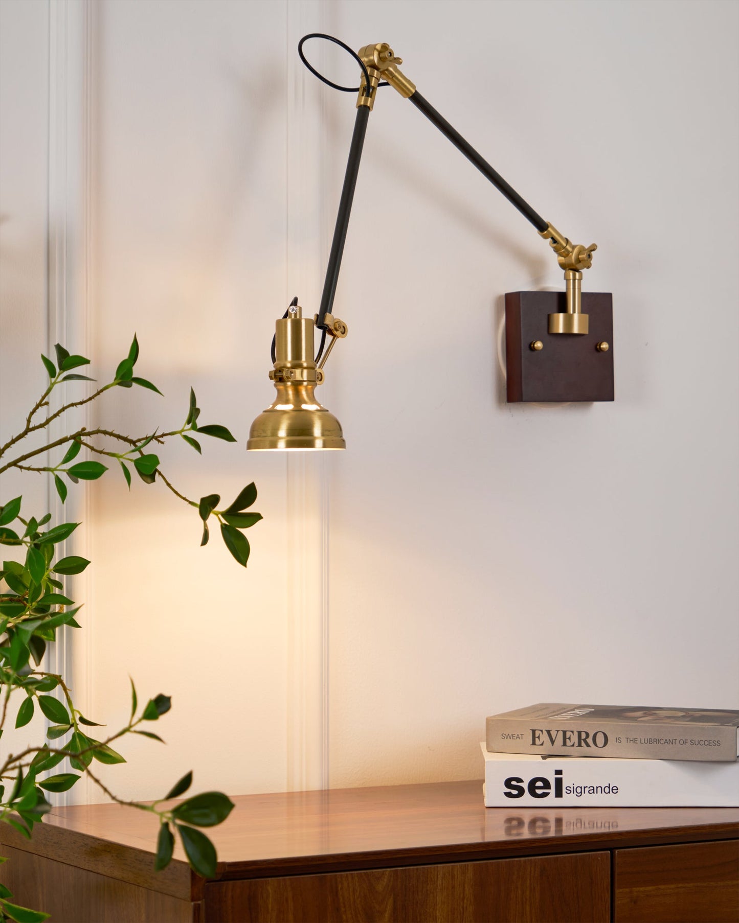 Walnut and Brass Swing Arm Sconce