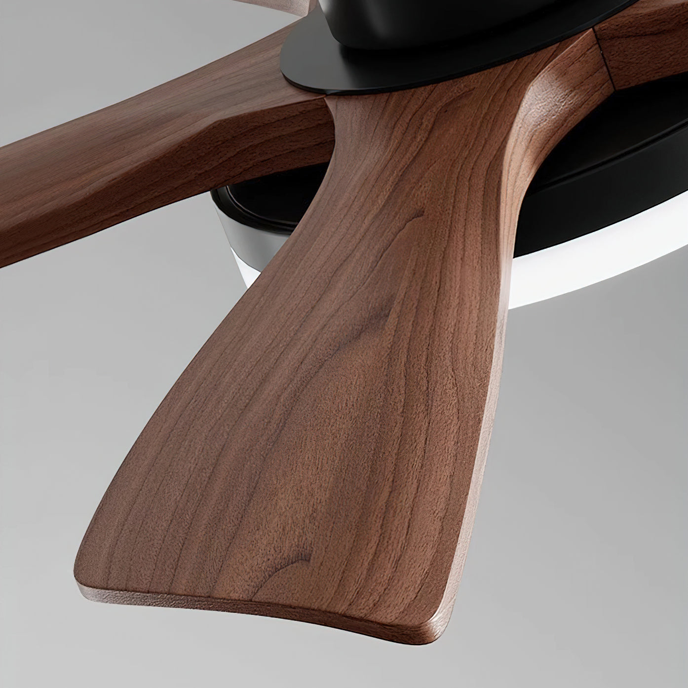 Organic Modern Flush Mount Ceiling Fan with LED Light