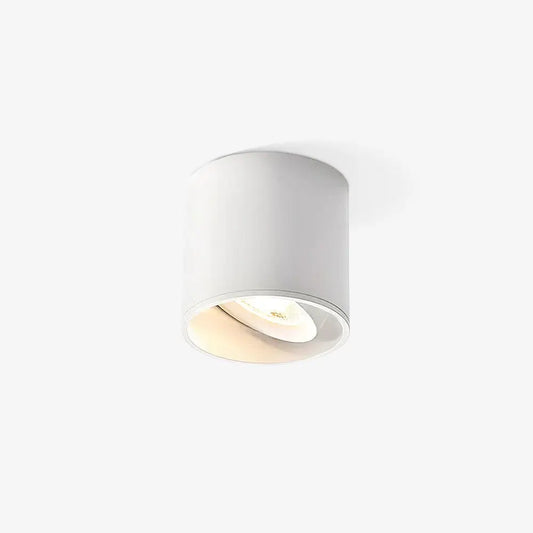 Modupoint Ceiling Light Erbstuk
