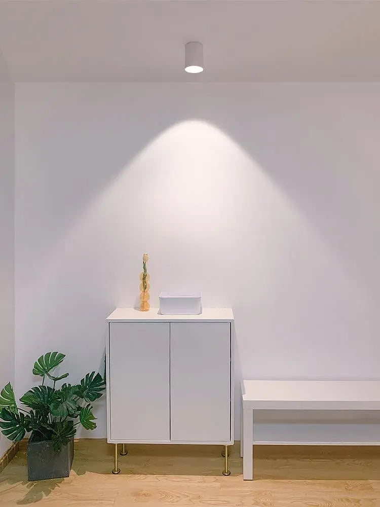 Modupoint Ceiling Light Erbstuk