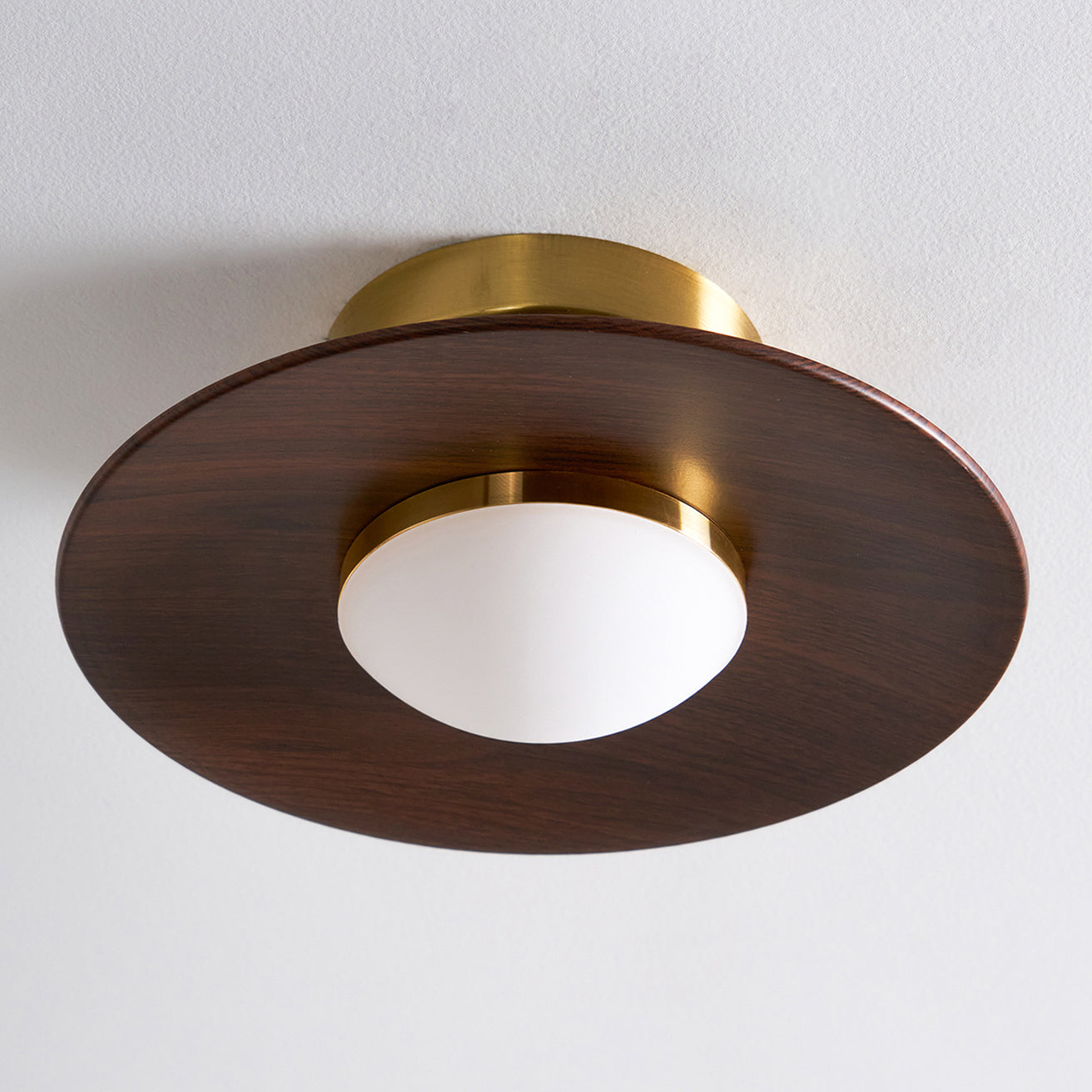 Compact Disc Flush Mount Ceiling Light — Metal & Wood Tone
