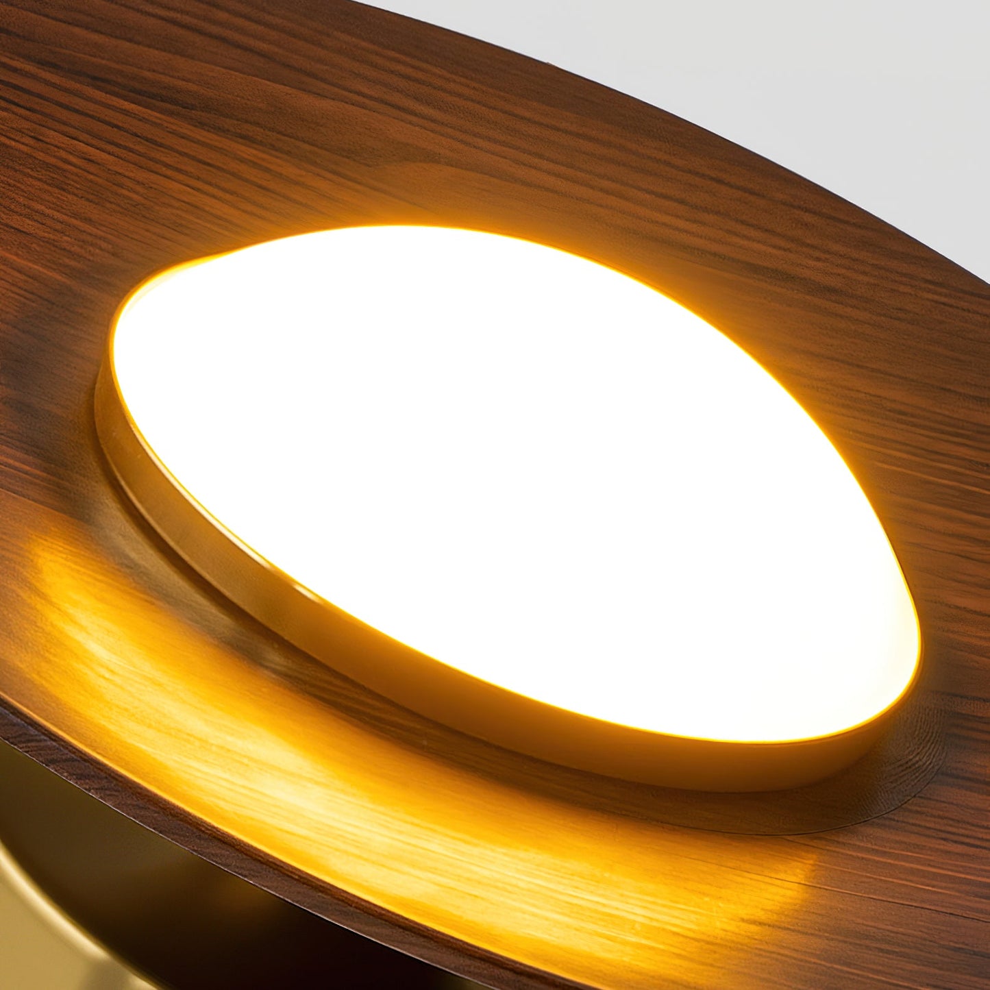 Compact Disc Flush Mount Ceiling Light — Metal & Wood Tone