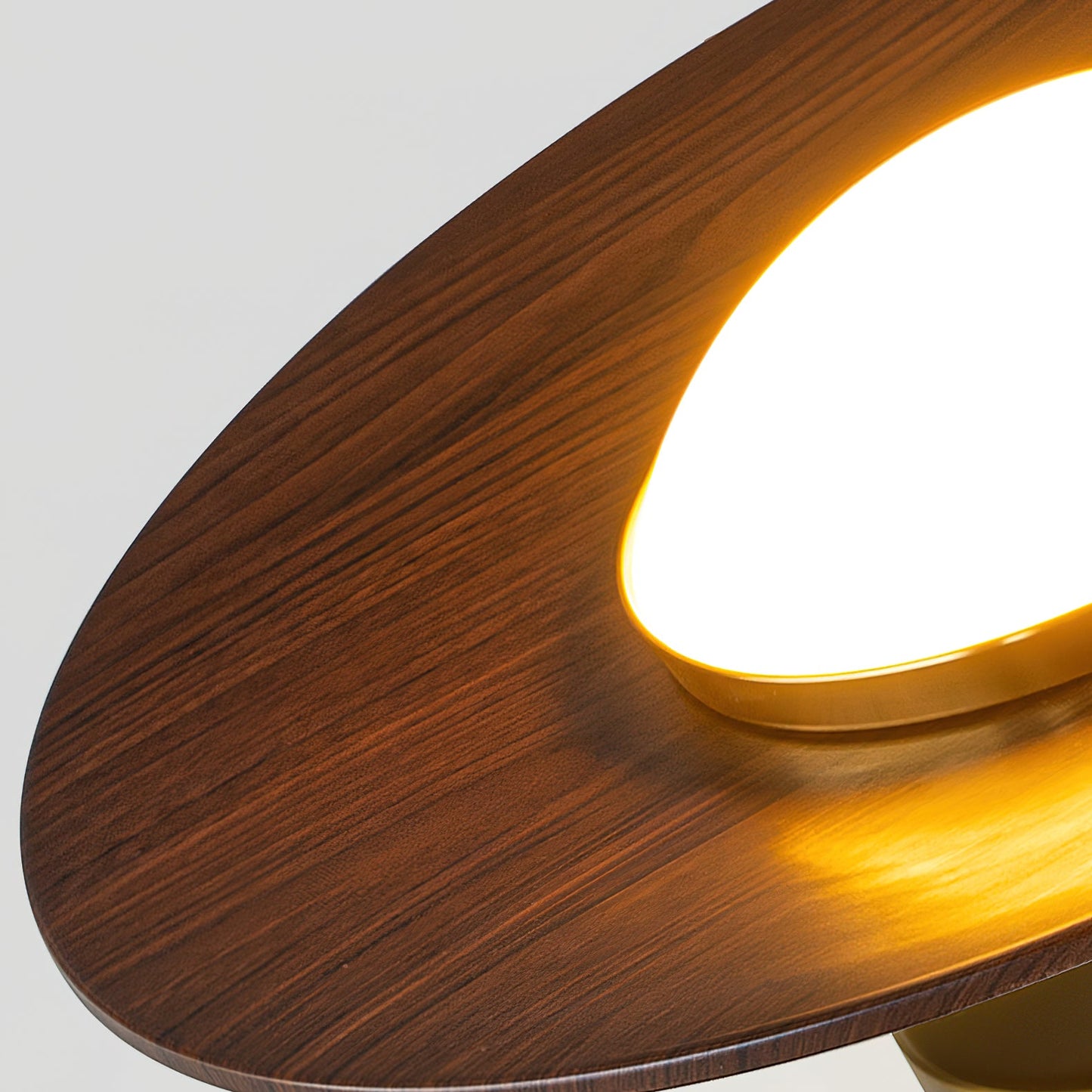 Compact Disc Flush Mount Ceiling Light — Metal & Wood Tone