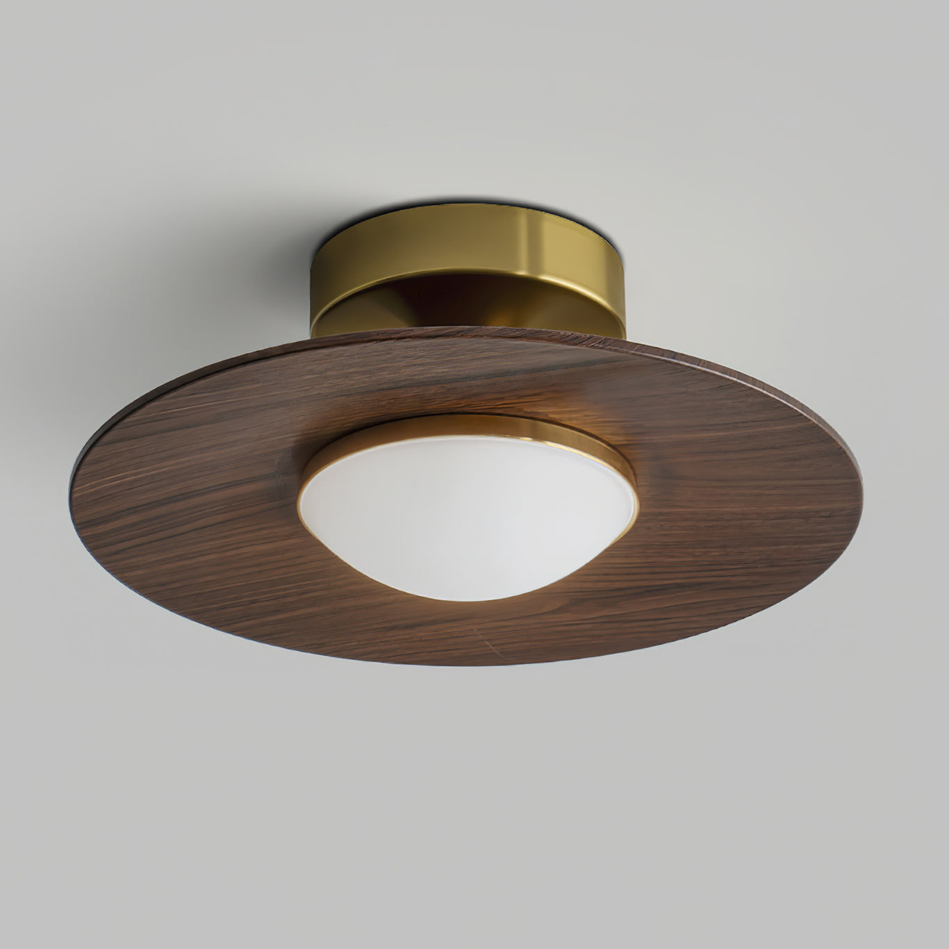 Compact Disc Flush Mount Ceiling Light — Metal & Wood Tone