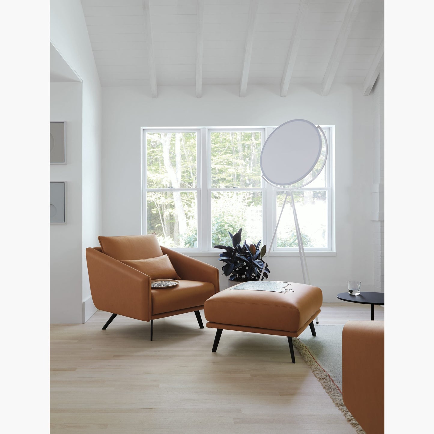 Tilting Disc LED Floor Lamp