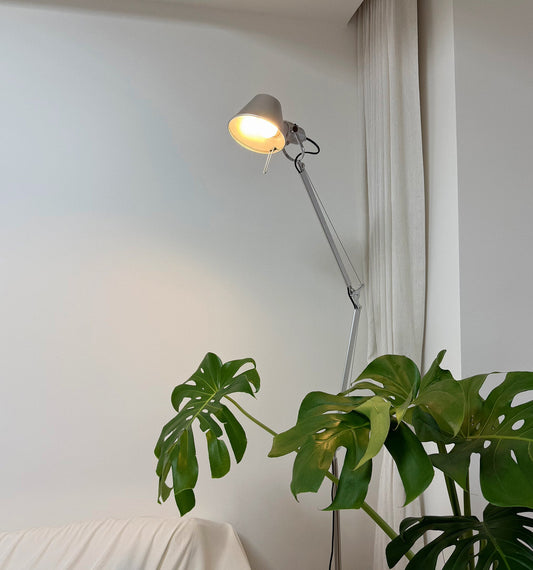 Slim Swing Arm Reading Floor Lamp